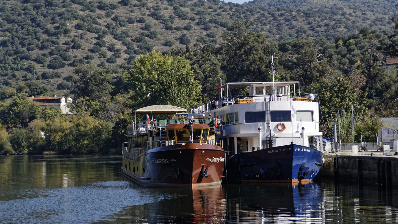 20141022 145606•Ligares•North•Portugal